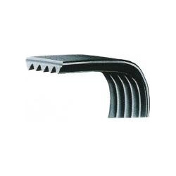 Diržas Koshimo 5PK1152