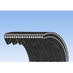 Diržas Koshimo 6PK1565