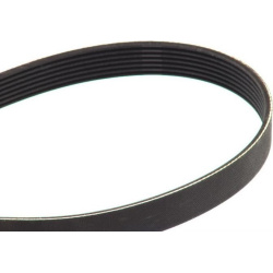Diržas Koshimo 7PK1605