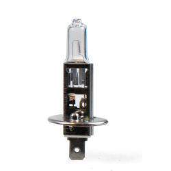 H1 12V 55W P14,5s halogeninė Z1