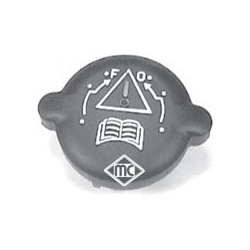 Citroen Berlingo 96-, Xantia 93-, XM, Xsara 97-, ZX, Peugeot 106, 306, 405, 406, 605, Partner 96-; Kamštis radijatoriaus 1,40 bar