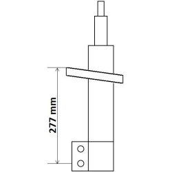  amortizatorius