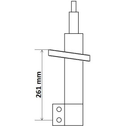  amortizatorius