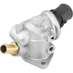  termostatas, aušinimo skystis