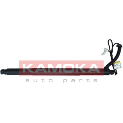  galinių durų elektros variklis