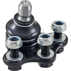  Šarnyras / girgždukas